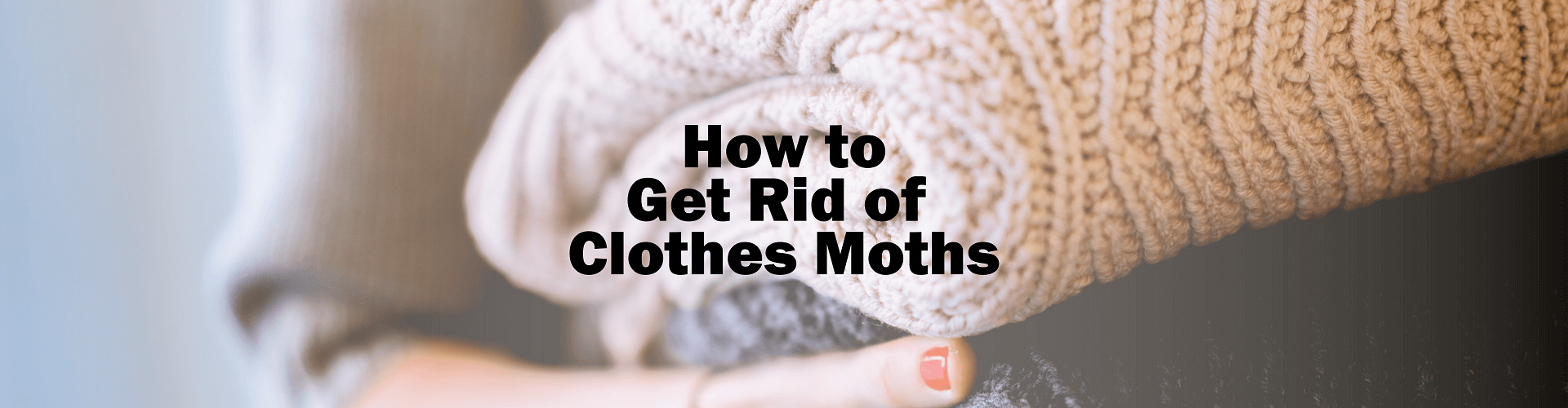 how to get rid of clothes moths - south end storage in charlotte, nc